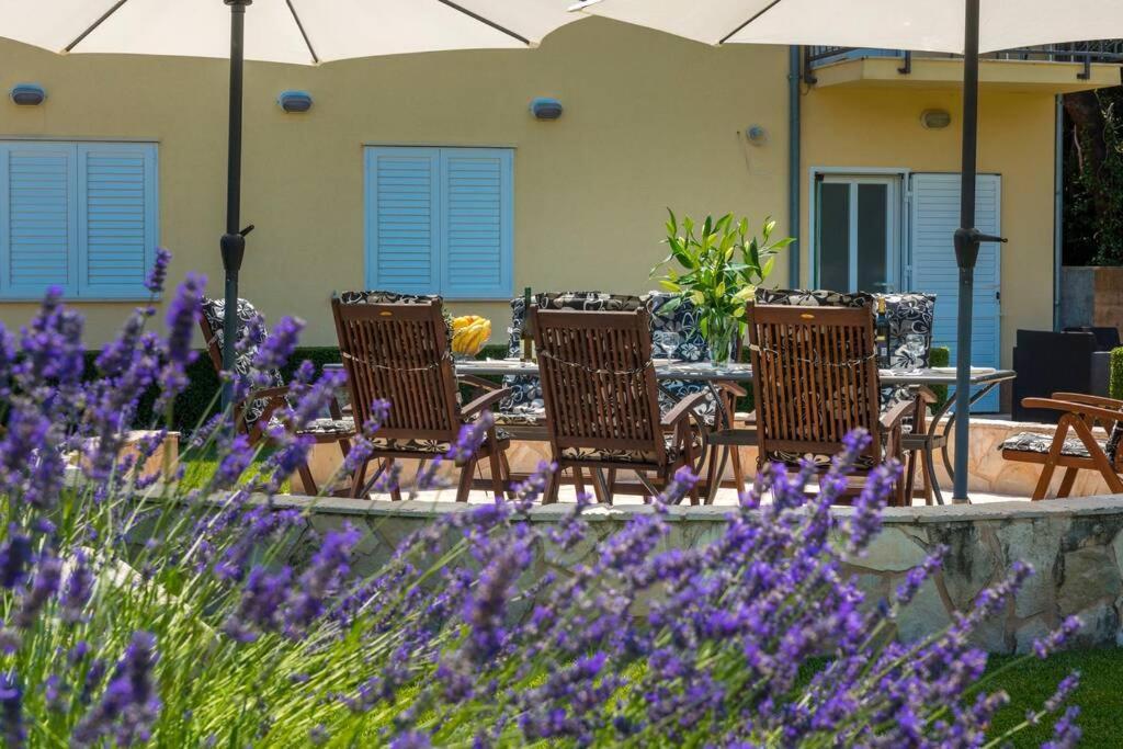 Vila Vergatum-Privacy,Gym,Billiards,Table Tennis Donji Brgat Exterior photo